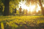 Laufen, Kraftübungen und Lauf-Theorie