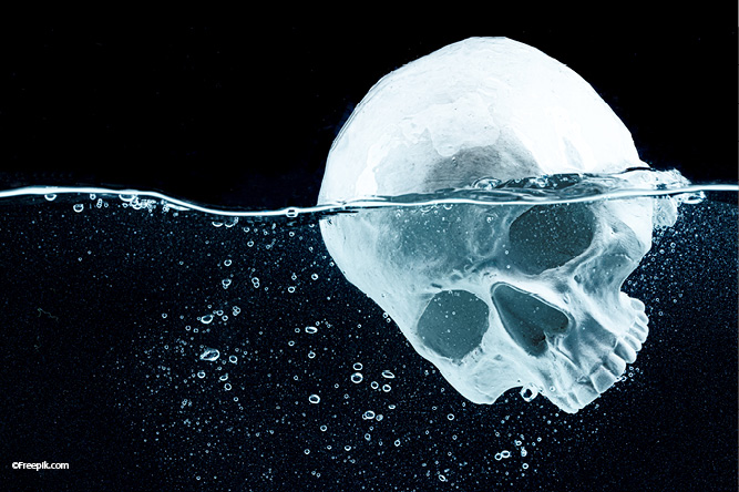 Totenkopfschwimmen